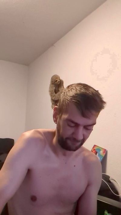 Lienlingsidiot live cam on Cam4