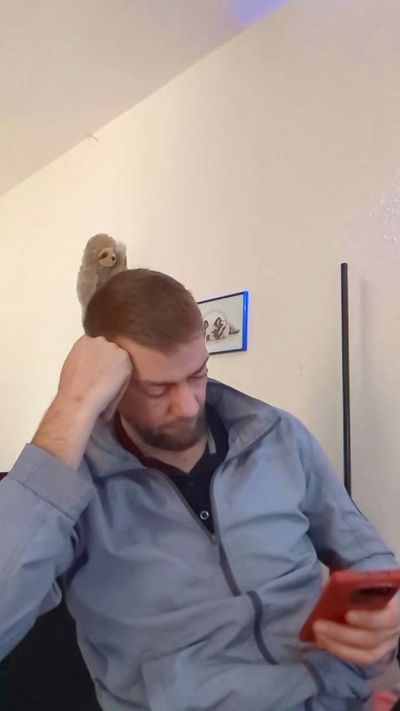 Lienlingsidiot live cam on Cam4