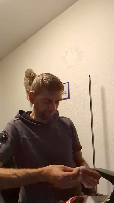 Lienlingsidiot live cam on Cam4