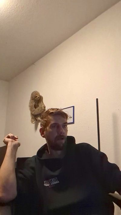 Lienlingsidiot live cam on Cam4