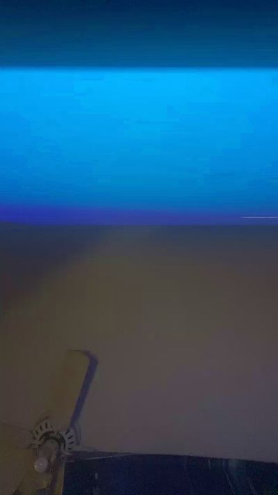 Lil_DiC live cam on Cam4