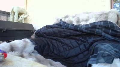 LilmissyXXX live cam on Cam4