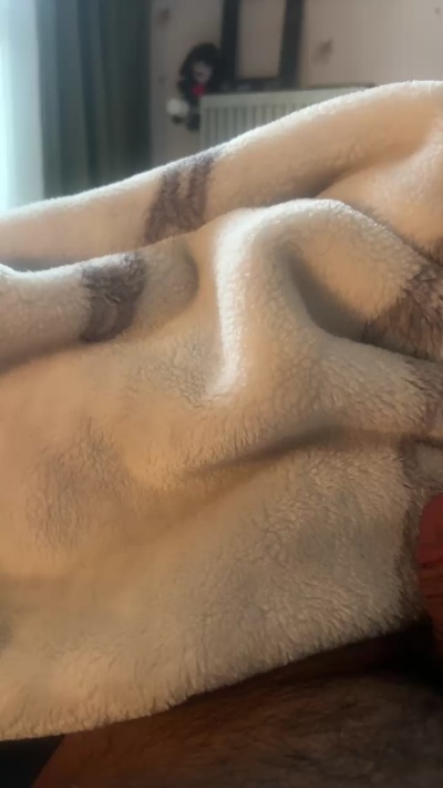 Lilzoo1912 live cam on Cam4