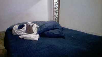 Lis_Vi live cam on Cam4