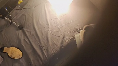 Lissatrav live cam on Cam4