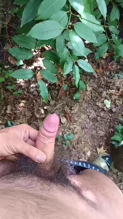 LittleBush4000 live cam on Cam4