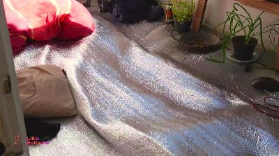 LittleRotfuchs live cam on Cam4