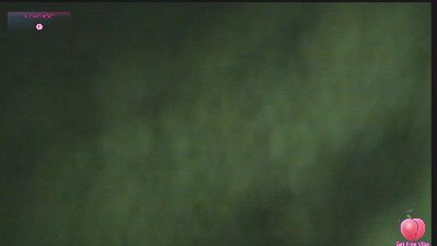 Little_Eva live cam on Cam4