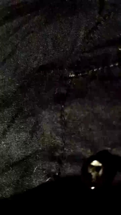 Lizard3 live cam on Cam4