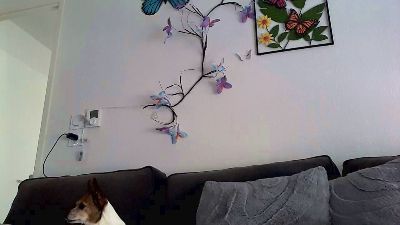 Lorenzz3347 live cam on Cam4