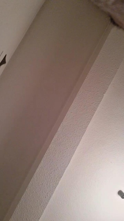 Losaxx live cam on Cam4