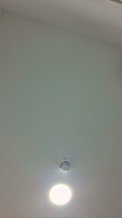 Losaxx live cam on Cam4