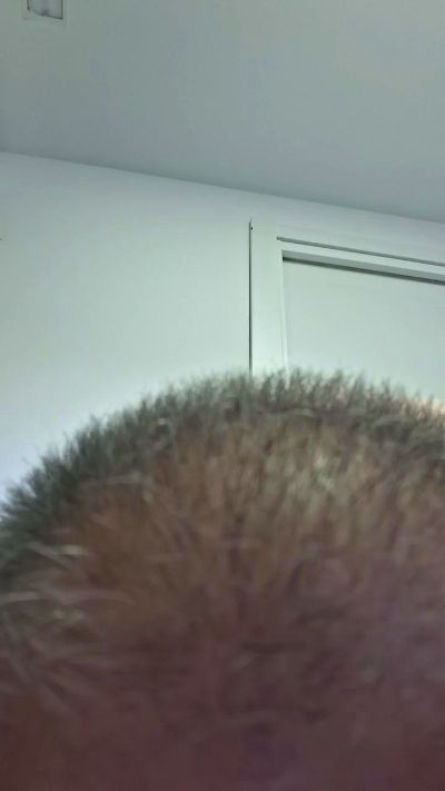 Losaxx live cam on Cam4