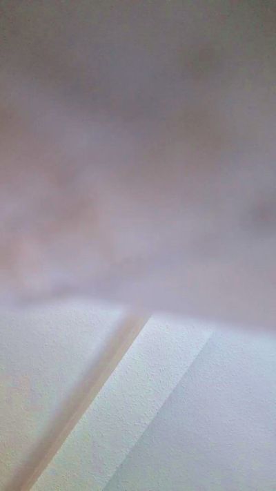Losaxx live cam on Cam4
