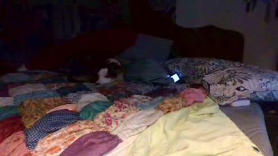 Lostnalice live cam on Cam4