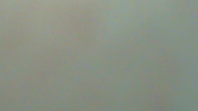 LoupsBlancs live cam on Cam4