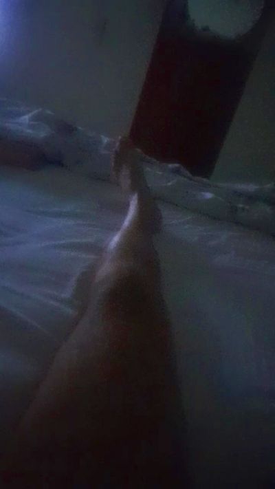 Luca28117 live cam on Cam4