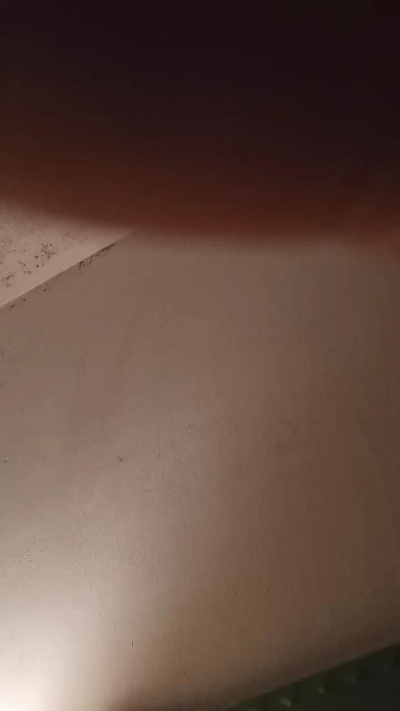 Luca82Luke live cam on Cam4