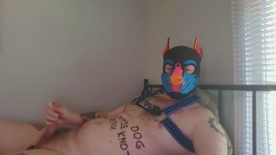 Lucas0318 live cam on Cam4