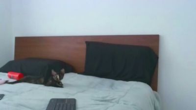 Lucasflexthis_1 live cam on Cam4