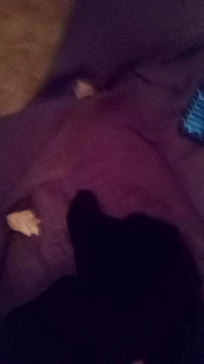 Lukignolo81 live cam on Cam4