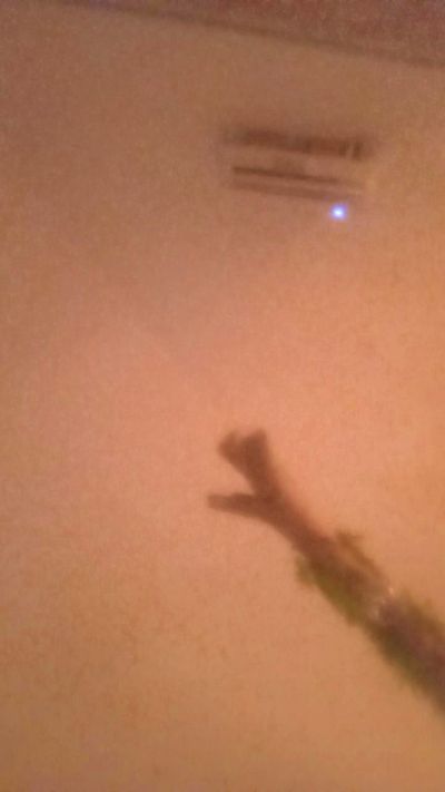 Lukignolo81 live cam on Cam4