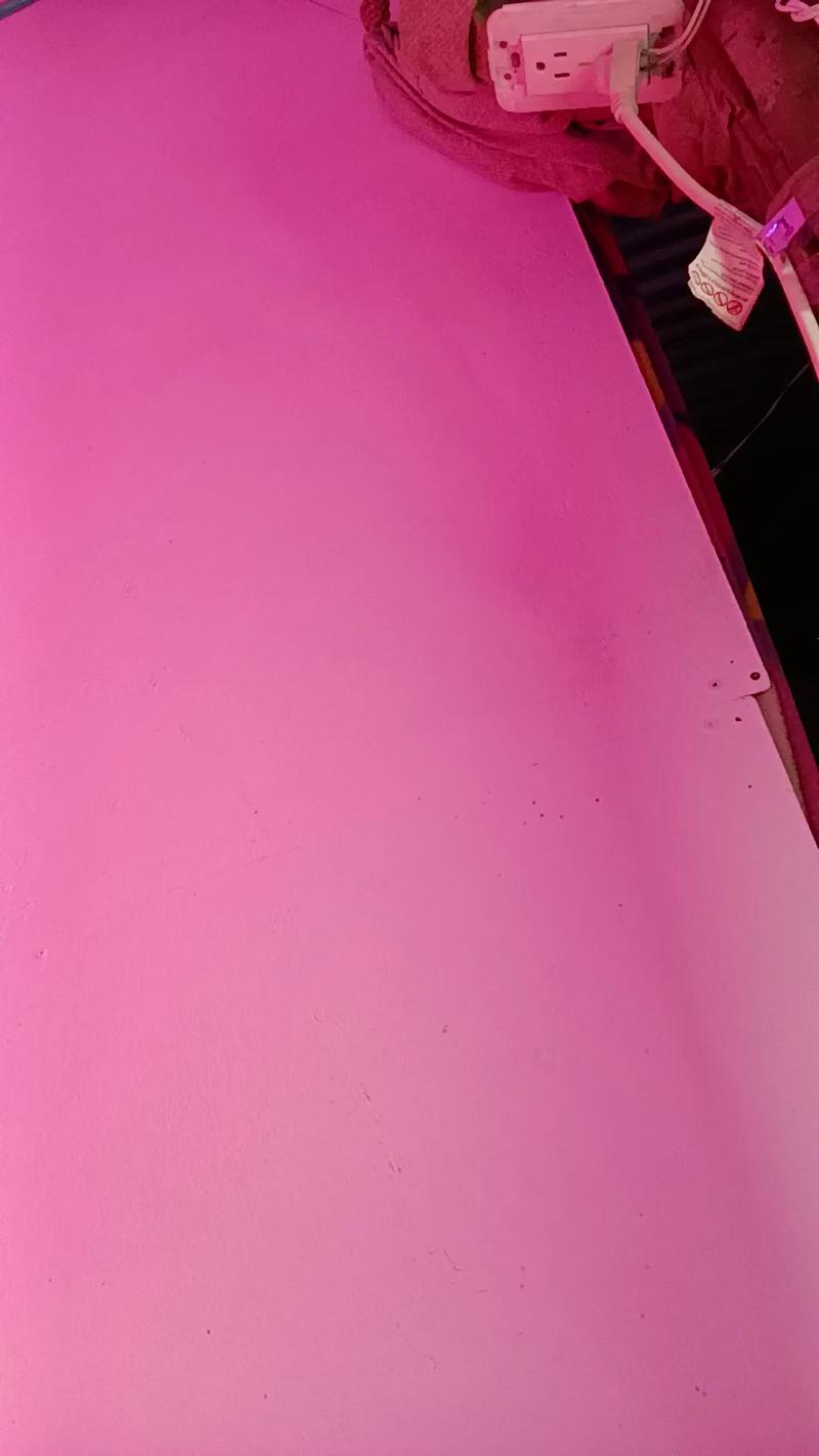 Luna_traviesha live cam on Cam4