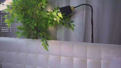 LynneForster live cam on Cam4