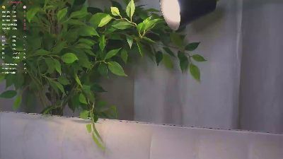 LynneForster live cam on Cam4