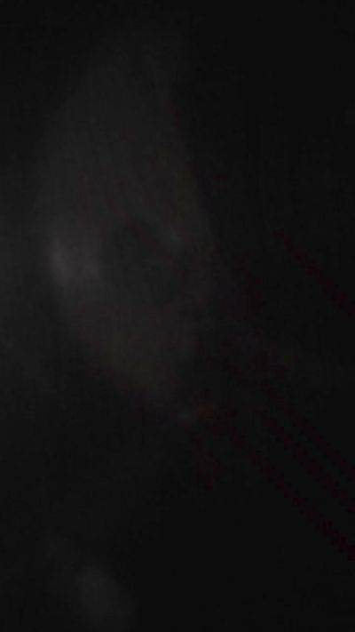 MRB45 live cam on Cam4
