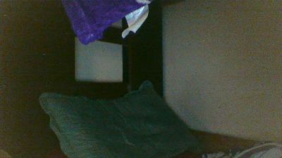 MULATOLAGOSRJ live cam on Cam4
