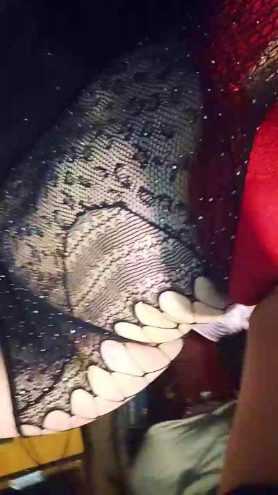 Profile and Statistics for Madeline2399 on Cam4