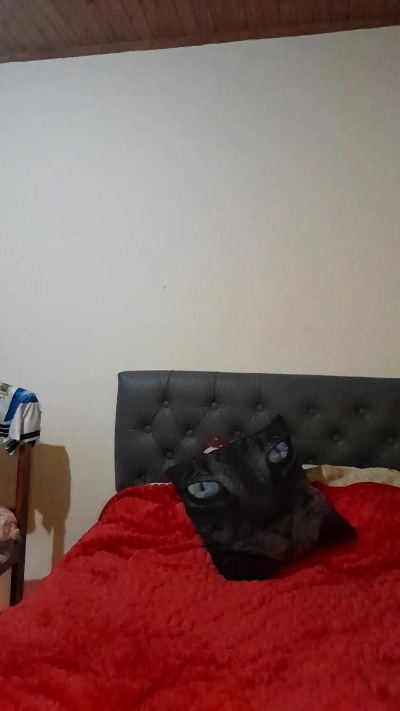 Madurita2026 live cam on Cam4