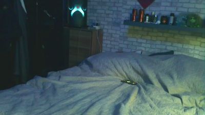 Mafkees055 live cam on Cam4