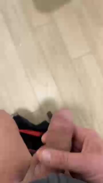 Preview of maialebologna