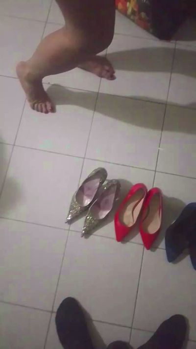 Maiali