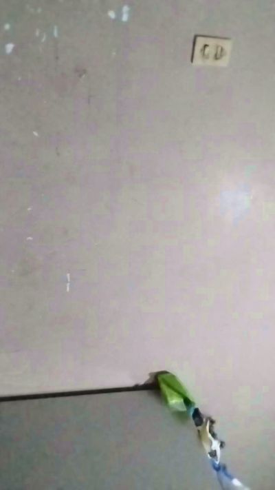 Maiilu24 live cam on Cam4