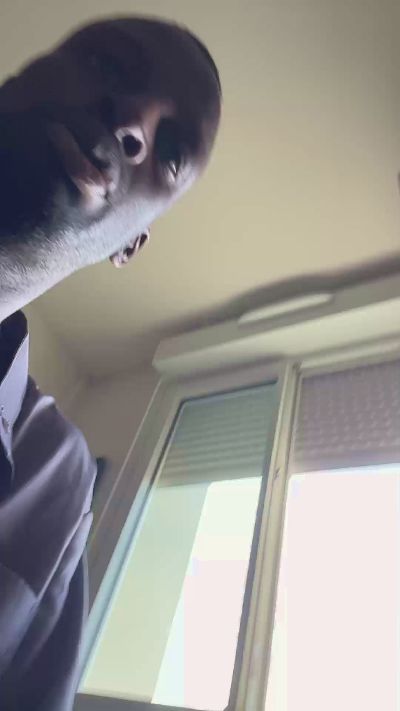 Malik75Cooper live cam on Cam4