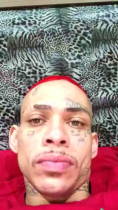 Malvadao23ctmm