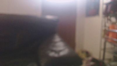 MamaB88 live cam on Cam4
