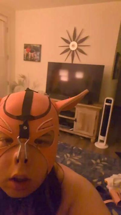 Manifesting_Pig