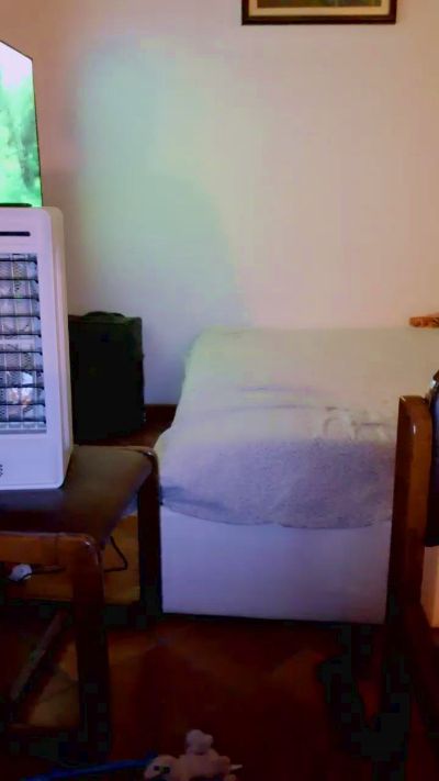 Marcy7800 live cam on Cam4