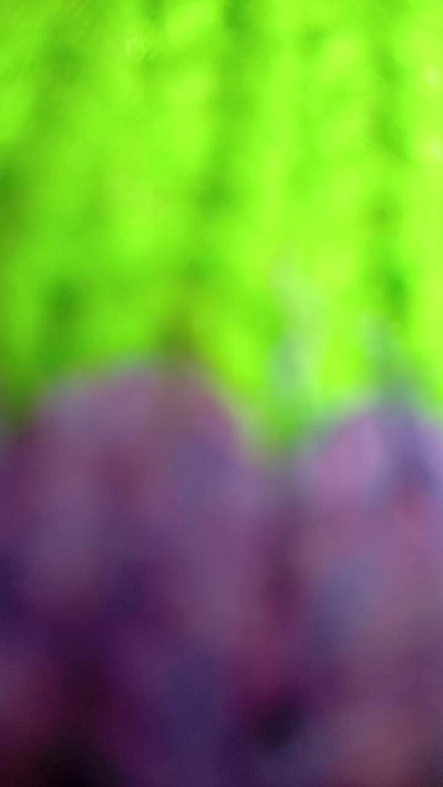 Margaritahippie live cam on Cam4
