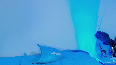 Profile and Statistics for Mariana_0420 on Cam4