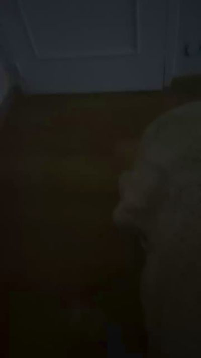 Marko2804 Live Cam and Statistics on UnifiedCams