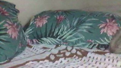 Marrentopicudo live cam on Cam4