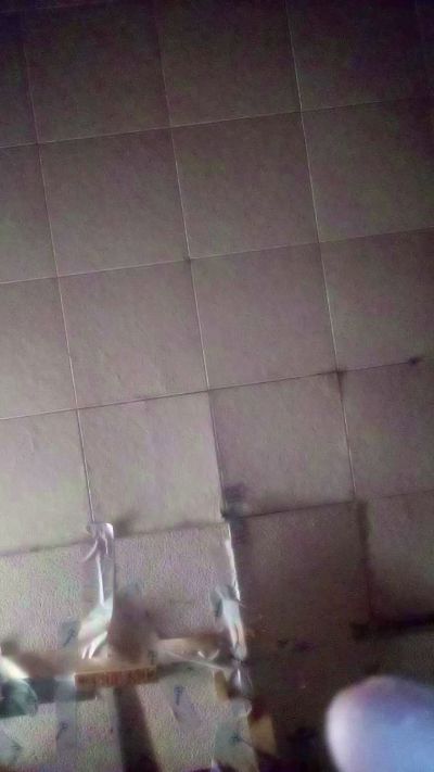 Martyhseelye21 live cam on Cam4