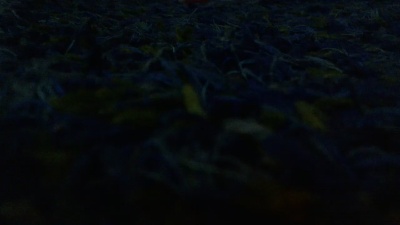 MasPinky live cam on Cam4