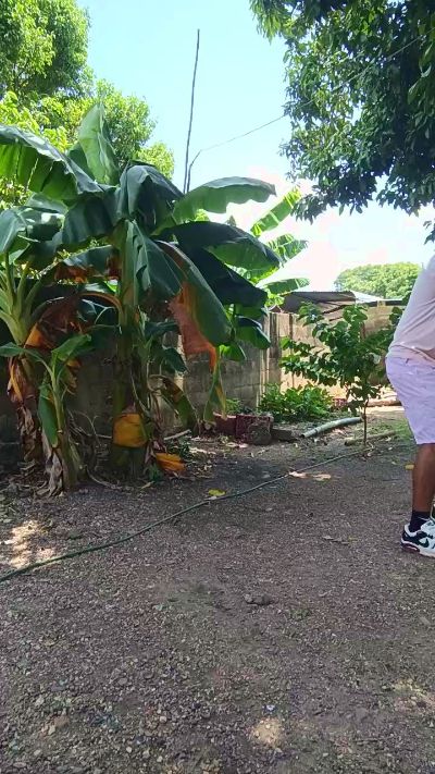 Max_hardPig live cam on Cam4
