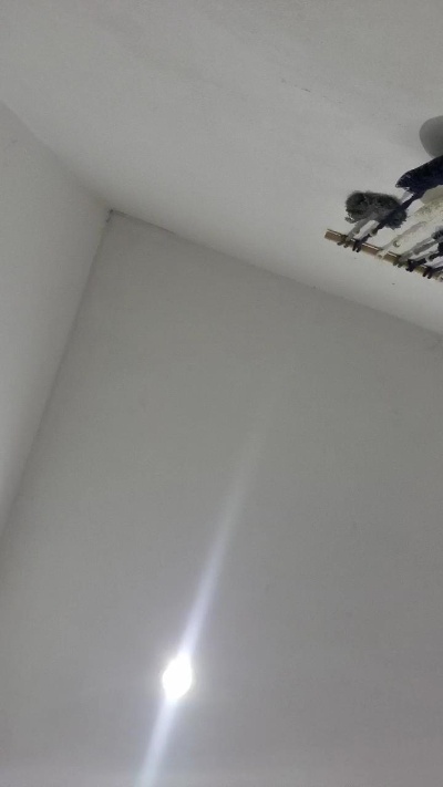 Maximiliano99 live cam on Cam4